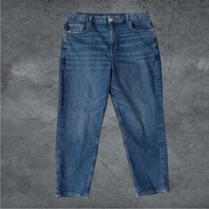 American Eagle Outfitters Curvy Mom Jeans